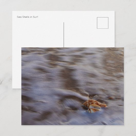 Zeeschelpen in Surf Briefkaart (Voorkant / Achterkant)