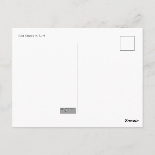 Zeeschelpen in Surf Briefkaart (Achterkant)