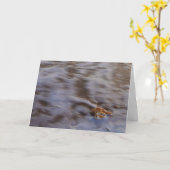 Zeeschelpen in Surf Wenskaart Kaart (Gele Bloem)