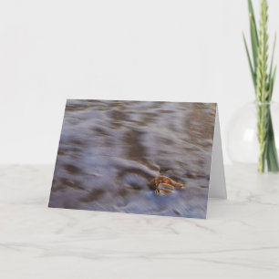 Zeeschelpen in Surf Wenskaart Kaart