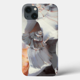 Zeeschelpen in zonlicht en schaduw Case-Mate iPhone case
