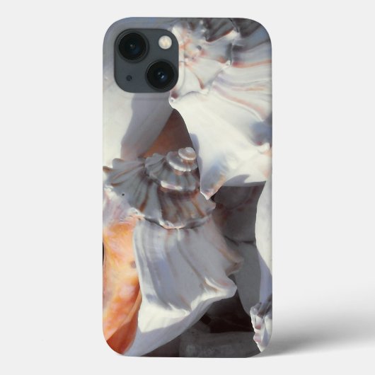 Zeeschelpen in zonlicht en schaduw Case-Mate iPhone case (Achterkant)