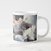 Zeeschelpen in zonlicht en schaduw grote koffiekop (Rechts)