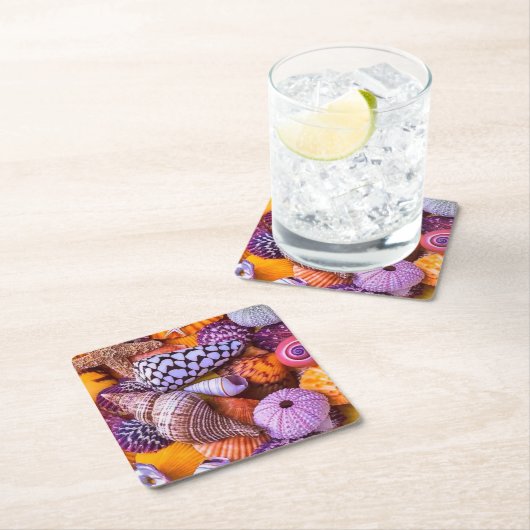 Zeeschelpen Kartonnen Onderzetters (Insitu)