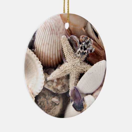 Zeeschelpen Keramisch Ornament (Rechts)