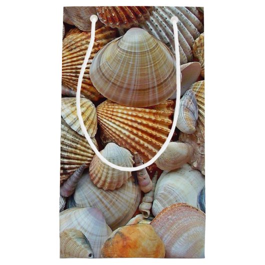 Zeeschelpen Klein Cadeauzakje (Voorkant)