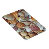 Zeeschelpen Magneet (Rechterzijde)