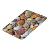 Zeeschelpen Magneet (Linkerzijde)