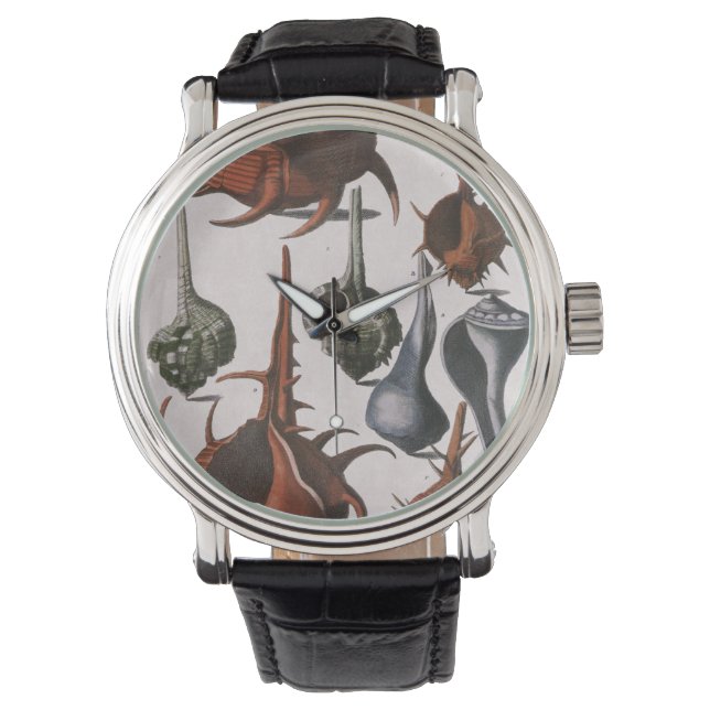 zeeschelpen, oceaanzeeschelpen Marine Life Horloge (Voorkant)