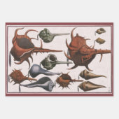  zeeschelpen, oceaanzeeschelpen Marine Life Inpakpapier Vel (Voorkant)