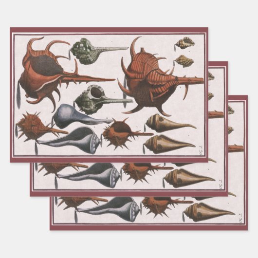  zeeschelpen, oceaanzeeschelpen Marine Life Inpakpapier Vel (Set)