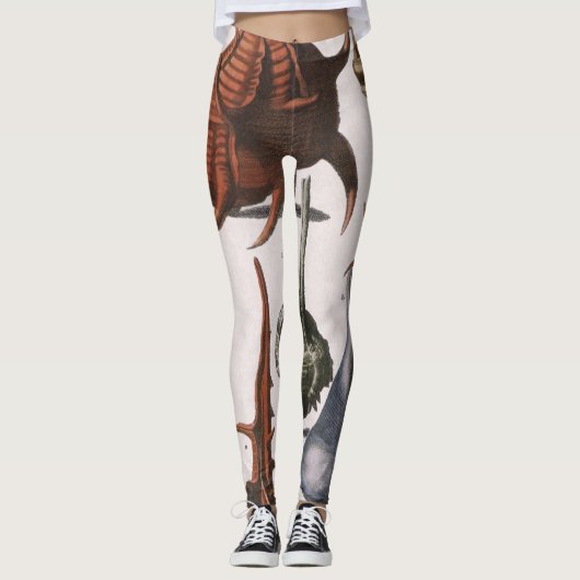  zeeschelpen, oceaanzeeschelpen Marine Life Leggings (Voorkant)