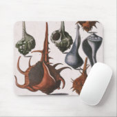  zeeschelpen, oceaanzeeschelpen Marine Life Muismat (Met muis)