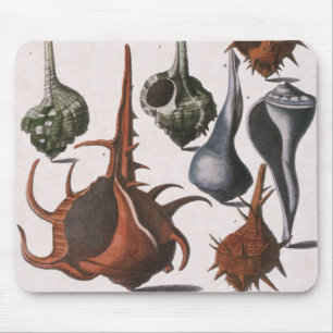  zeeschelpen, oceaanzeeschelpen Marine Life Muismat