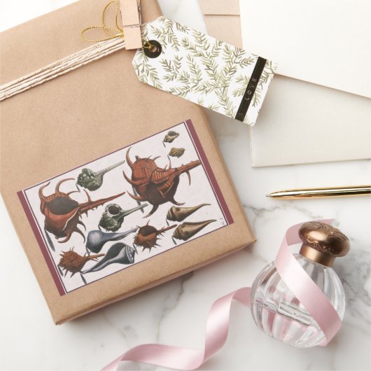  zeeschelpen, oceaanzeeschelpen Marine Life Rechthoekige Sticker (Geschenken)