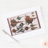  zeeschelpen, oceaanzeeschelpen Marine Life Rechthoekige Sticker (Envelop)
