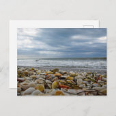 Zeeschelpen op de Kust van Eiland Gasparilla Feestdagenkaart (Voorkant / Achterkant)