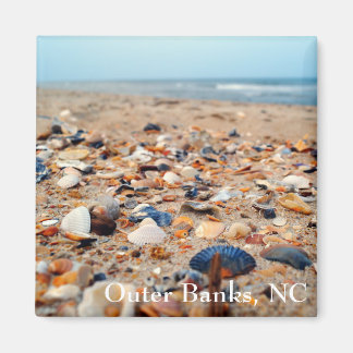 Zeeschelpen op de strandmagneet magneet