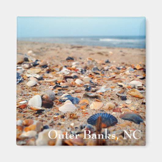 Zeeschelpen op de strandmagneet magneet (Voorkant)