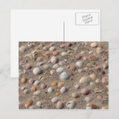 Zeeschelpen op het strand briefkaart (Voorkant / Achterkant)