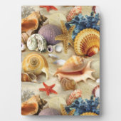 Zeeschelpen op het strand fotoplaat (voorkant)