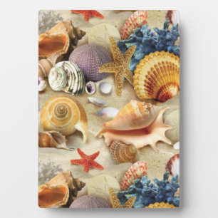 Zeeschelpen op het strand fotoplaat
