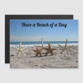 Zeeschelpen op het strand - Magnetische Kaart (Voorkant / Achterkant)