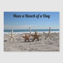 Zeeschelpen op het strand - Magnetische Kaart