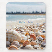 Zeeschelpen op het strand