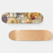 Zeeschelpen op het strand persoonlijk skateboard (Horizontaal)