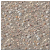 Zeeschelpen op het strand stof (Close Up)