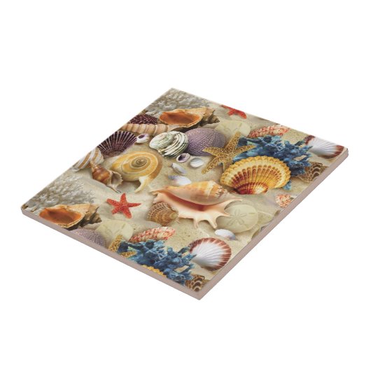 Zeeschelpen op het strand tegeltje (Zijkant)