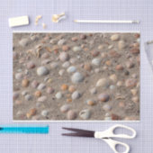 Zeeschelpen op het strand tissuepapier (Craft)