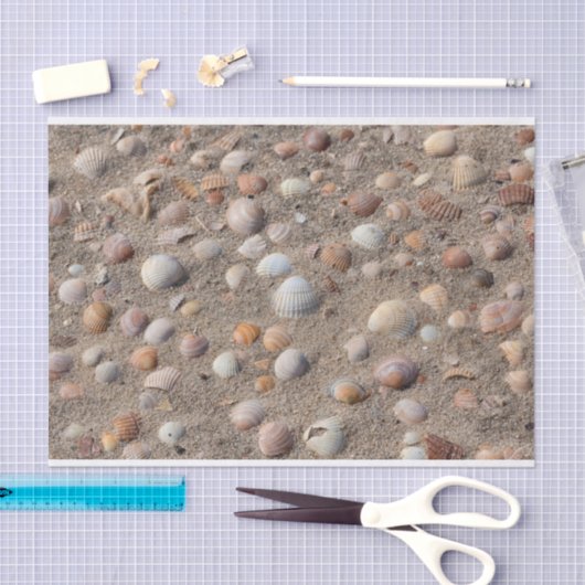 Zeeschelpen op het strand tissuepapier (Craft)