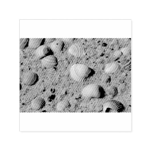 Zeeschelpen op het strand  zelfinktende stempel (Design)