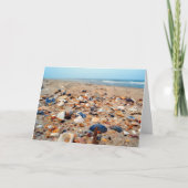 Zeeschelpen op het Wenskaart van het Strand Kaart (Voorkant)