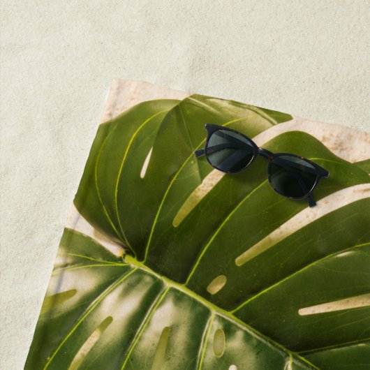 Zeeschelpen op zandstrand strandlaken (In situ)