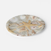 Zeeschelpen Papieren Bordje (Gekanteld)