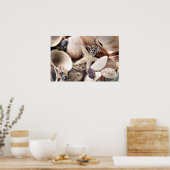 Zeeschelpen Poster (Keuken)