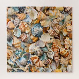 Zeeschelpen Puzzel