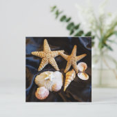Zeeschelpen Sealife Beach Stilleven Foto (Staand voorkant)