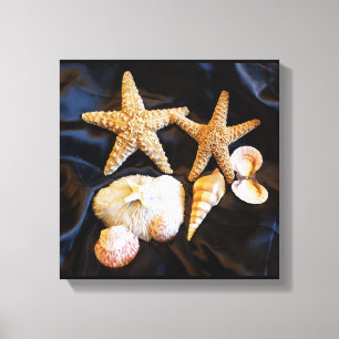 Zeeschelpen Sealife Beach Stilleven Foto Canvas Afdruk