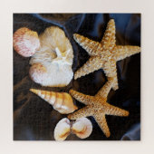 Zeeschelpen Sealife Beach Stilleven Foto Legpuzzel (Horizontaal)