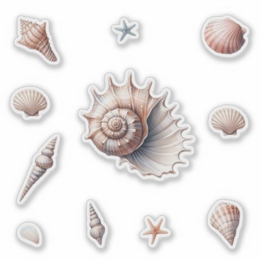 Zeeschelpen Sticker (Voorkant)