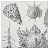  zeeschelpen stof (Swatch)