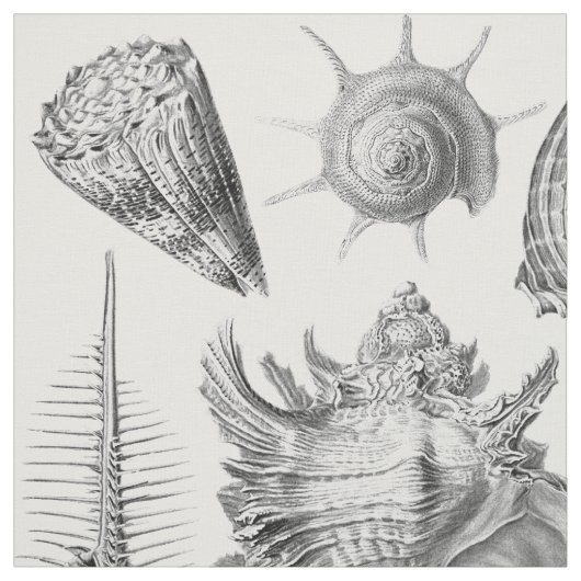 zeeschelpen stof (Swatch)