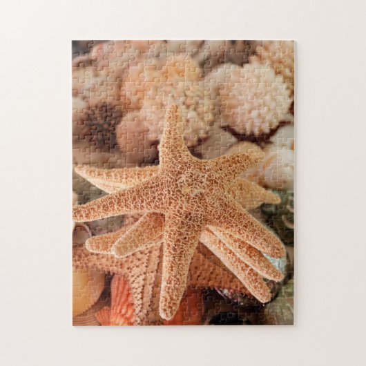 Zeeschelpen te koop Zihuatanejo, Mexico Legpuzzel (Verticaal)