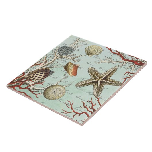  zeeschelpen...tegel tegeltje (Zijkant)