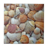 Zeeschelpen Tegeltje (Voorkant)