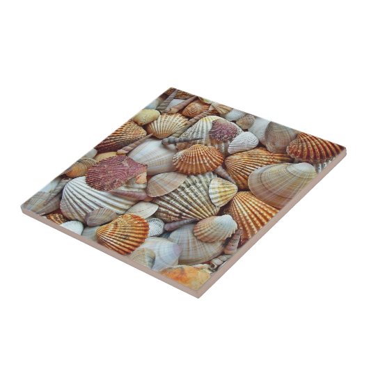 Zeeschelpen Tegeltje (Zijkant)